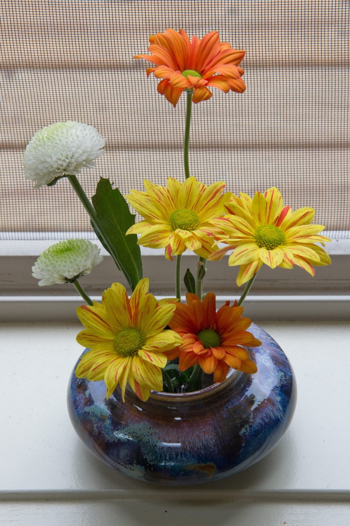 Several colorful flowers in a vase